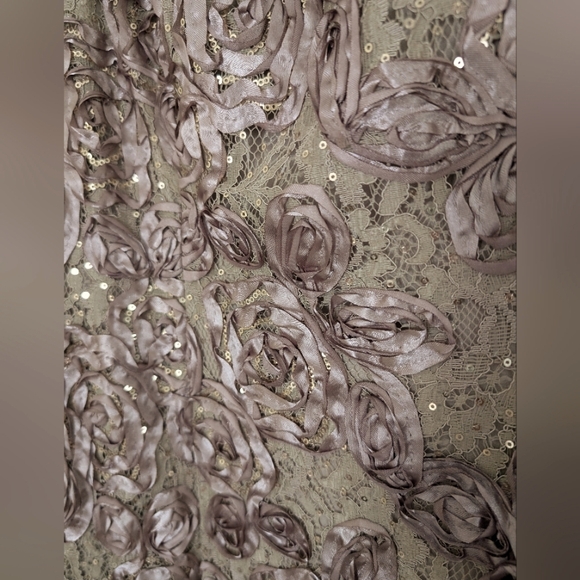 Alex Evenings Gorgeous Lace A-Line Gown - Picture 12 of 14